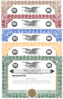Nicely bound book of 20 Fred Lake™ ASSOCIATION SHARE Certificates & Stub Sheets (now available in 5 different border colors!), complete with 3 holes to fit a standard 3-ring binder.  Micro-perfed top edge makes removal of individual certificates neat and