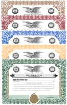 Nicely bound and custom printed book of 20 Fred Lake™ LIMITED PARTNERSHIP UNIT Certificates & Stub Sheets (now available in 5 border colors!), complete with 3 holes to fit a standard 3-ring binder.